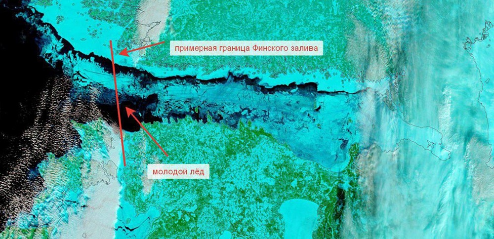 Финский залив полностью замерз: повторение рекорда 2010-2011 годов