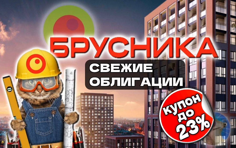 Девелопер Брусника: стоит ли инвестировать в новые облигации?