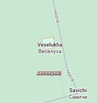 Деревня в Беларуси продаётся за 760 тысяч рублей: что в комплекте