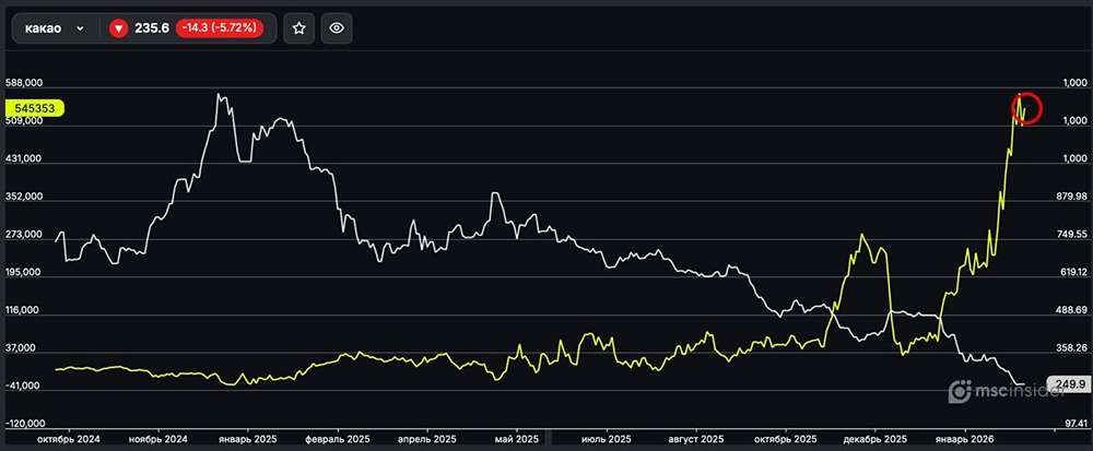 Какао: физлица удерживают чистый лонг у исторических максимумов