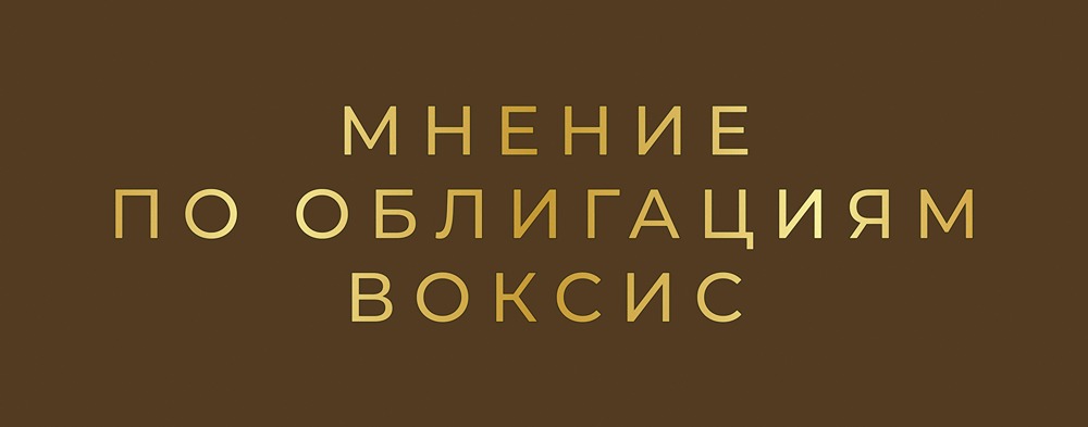 Инвестиции в облигации «Воксис» серии 001Р-02: плюсы и минусы нового выпуска