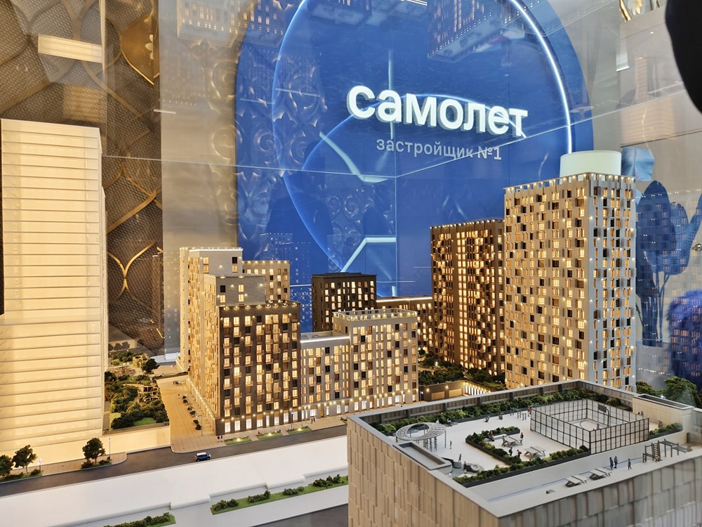 Минфин согласовал меры поддержки для «Самолета», — генеральный директор компании Анны Акиньшина