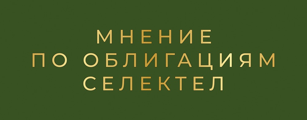 Новый выпуск облигаций Selectel: высокая доходность и перспективы
