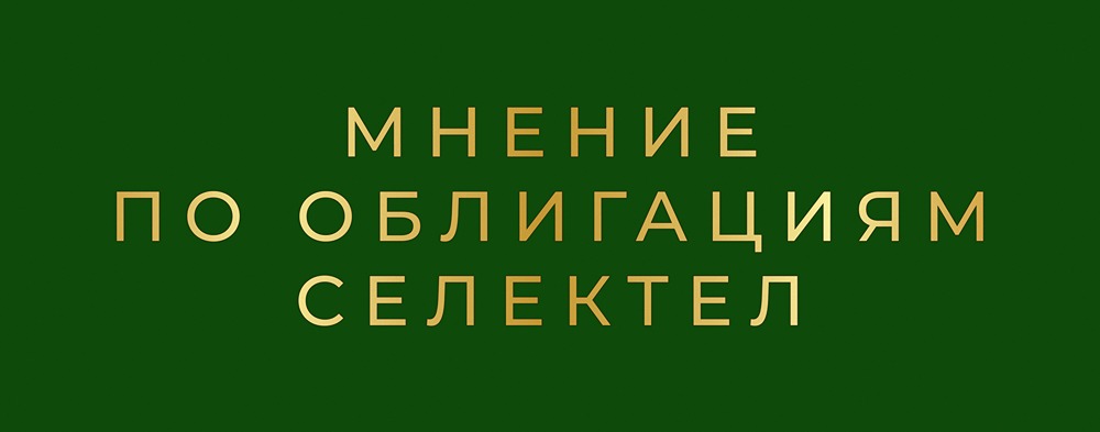 Облигации Селектел: стоит ли инвестировать в рост облачного рынка?