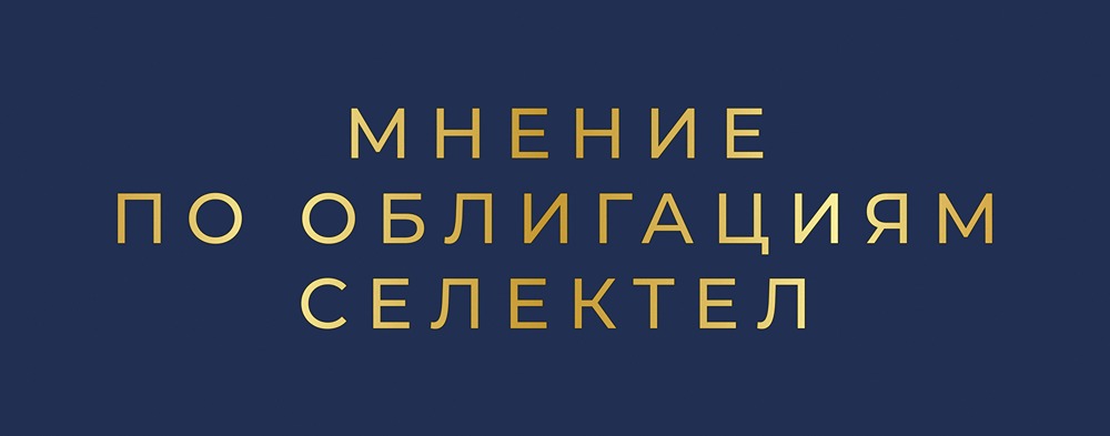 Селектел выпускает облигации под 16.6%: перспективы IT-гиганта на российском рынке