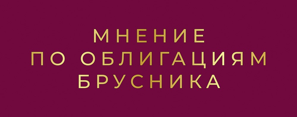 Брусника выпускает облигации под 23%: перспективы девелопера в текущих условиях