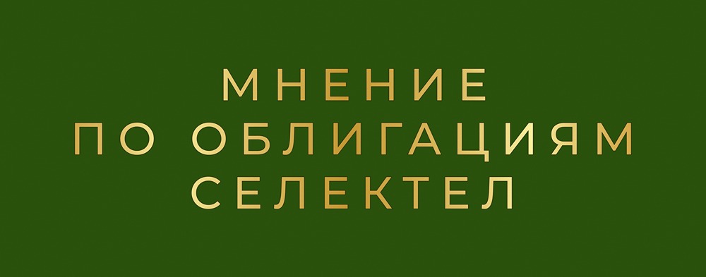 Стоит ли инвестировать в облигации Селектел с доходностью до 17,92%?