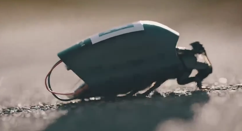 В Германии создали боевых роботов-тараканов — они уже поступили на вооружение в армию