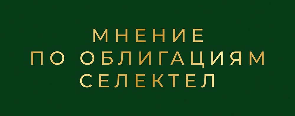 Облигации Selectel 2026: подробный анализ нового выпуска