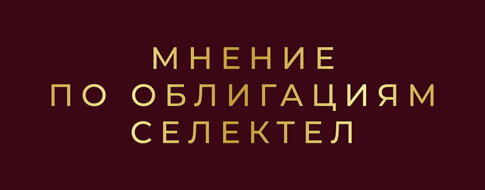 Размещение облигаций Селектел: стоит ли инвестировать в IT-гиганта?