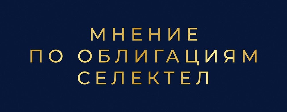 Selectel выпускает облигации с доходностью 17,92%: стоит ли инвестировать в лидера рынка дата-центров?