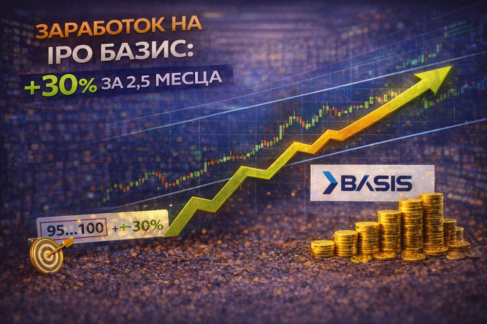 Базис – успешный пример IPO: разбираем финансовые показатели и перспективы