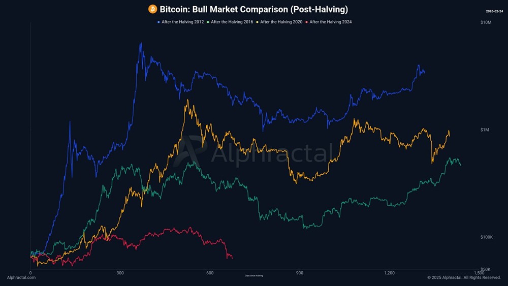 Сравнение бычьего рынка биткоина после халвингов