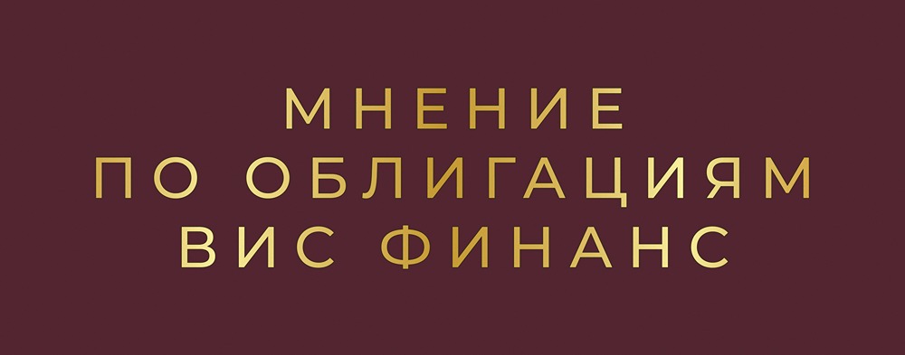 Облигации ВИС Финанс серии П11: детальный разбор финансового состояния