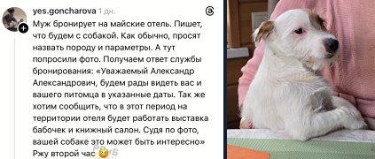 Максимальный сервис для туристов с питомцем: история успеха отеля