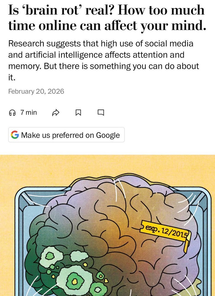 Учёные доказали: рилсы и тиктоки разрушают кору головного мозга