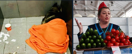 Человеческий фактор в бизнесе: почему формализм убивает репутацию