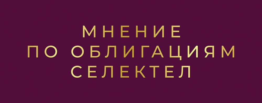 Облигации Selectel 1Р7: стоит ли инвестировать в IT-гиганта?