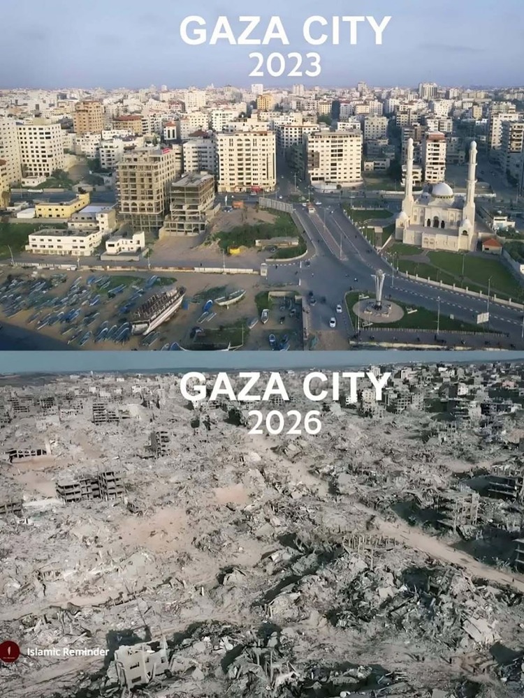 Реальность фото подтверждена Gemini, что будет в Газе