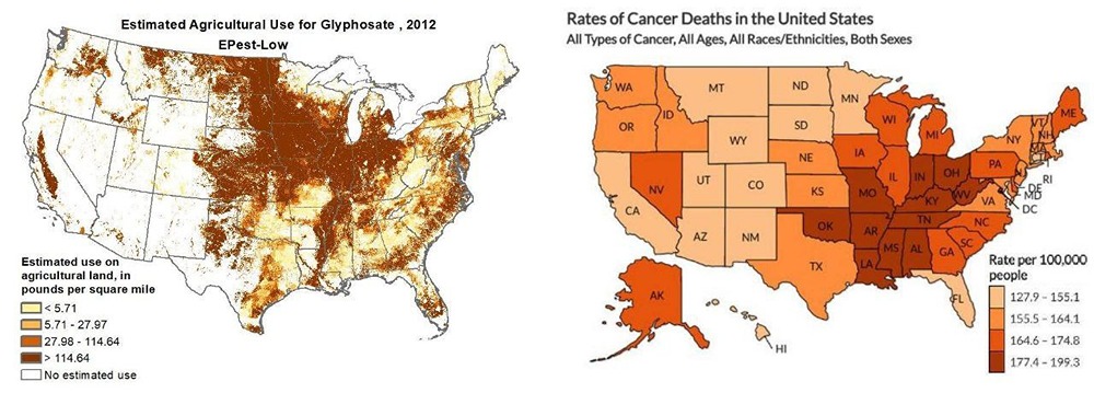 Bayer и Monsanto: история крупнейшего фармацевтического провала