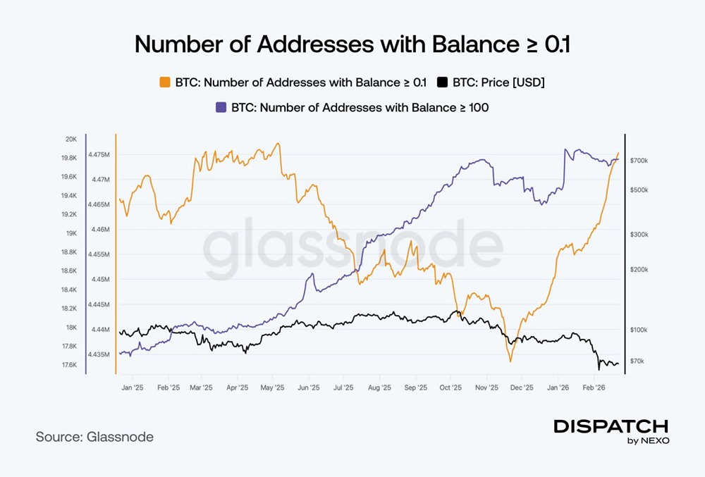 Держатели биткоина сохраняют позиции: что происходит на рынке сейчас?