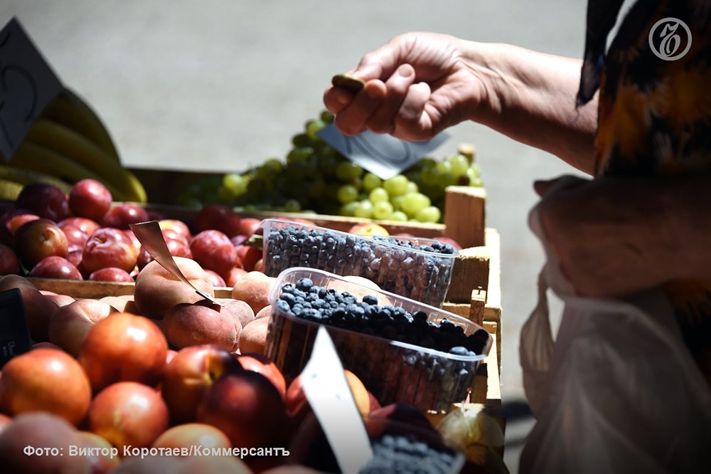 Голубика от «Магнита»: как ритейлер создает собственное сельское хозяйство