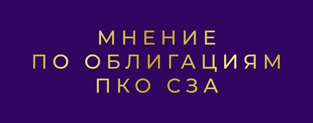 Стоит ли инвестировать в высокодоходные облигации СЗА с купоном 25,5%?