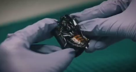 Для конфликта с Россией Германия создает боевых роботов-тараканов — они уже поступили на вооружение армии