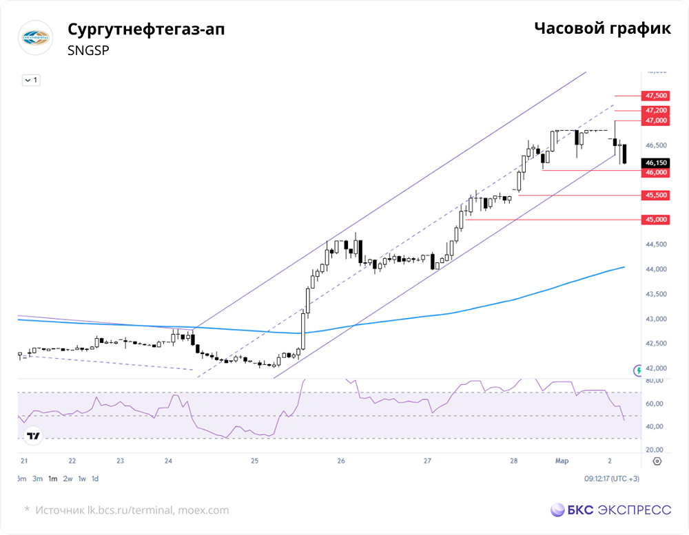 Акции Сургутнефтегаза подорожали — ждать ли продолжения роста?