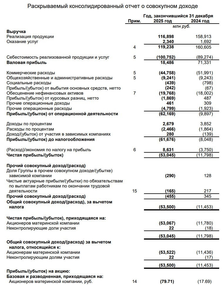 Распадская МСФО за 2025 год