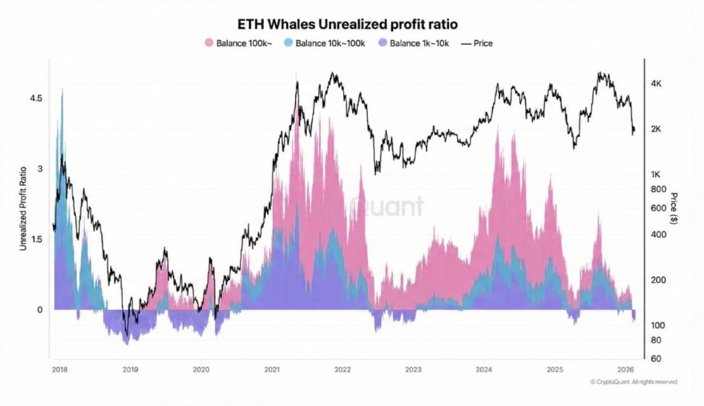 Нереализованные убытки ETH-китов резко возрастают