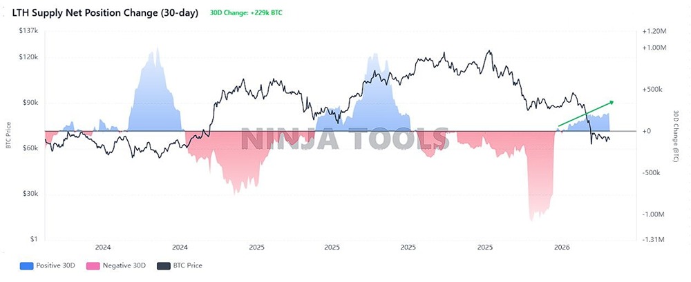 Изменение чистой позиции долгосрочных держателей биткоинов свидетельствует о продолжении положительного притока средств