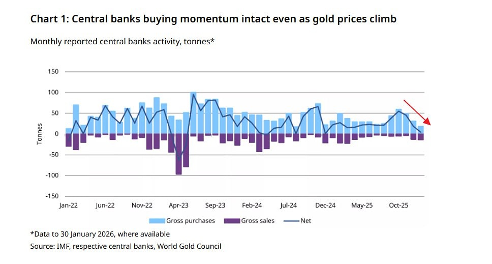 Темпы покупок золота мировыми ЦБ снижаются уже 3 месяца подряд — WGC