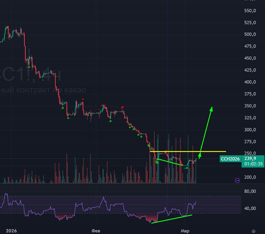 Когда ждать разворота какао: анализ торговых сигналов и уровней