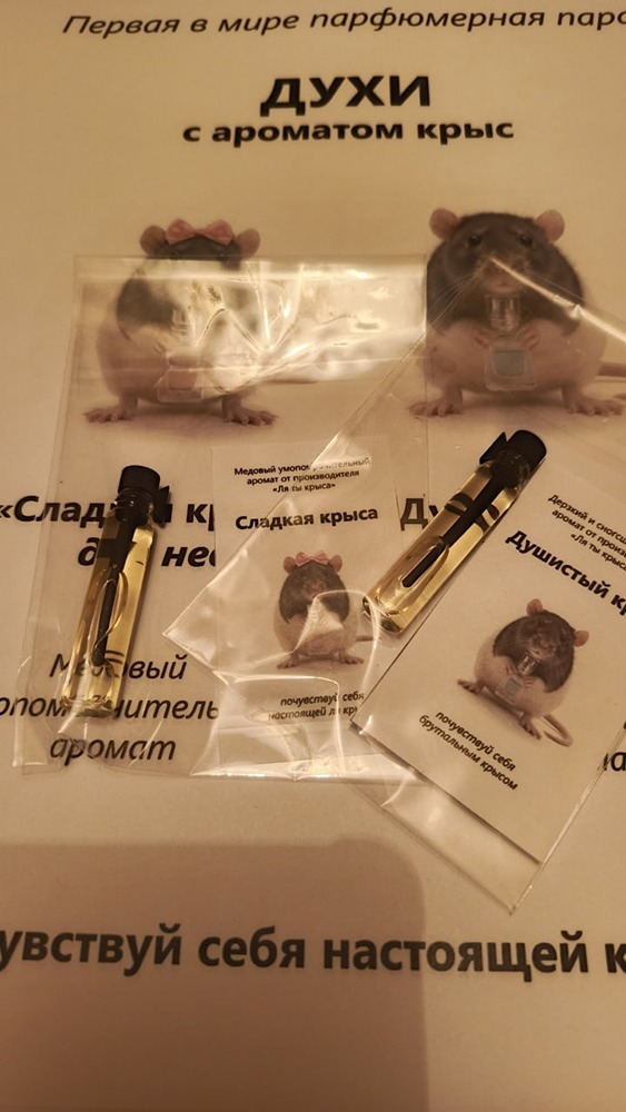 В России появились духи с ароматом крыс: что скрывается за необычными названиями?
