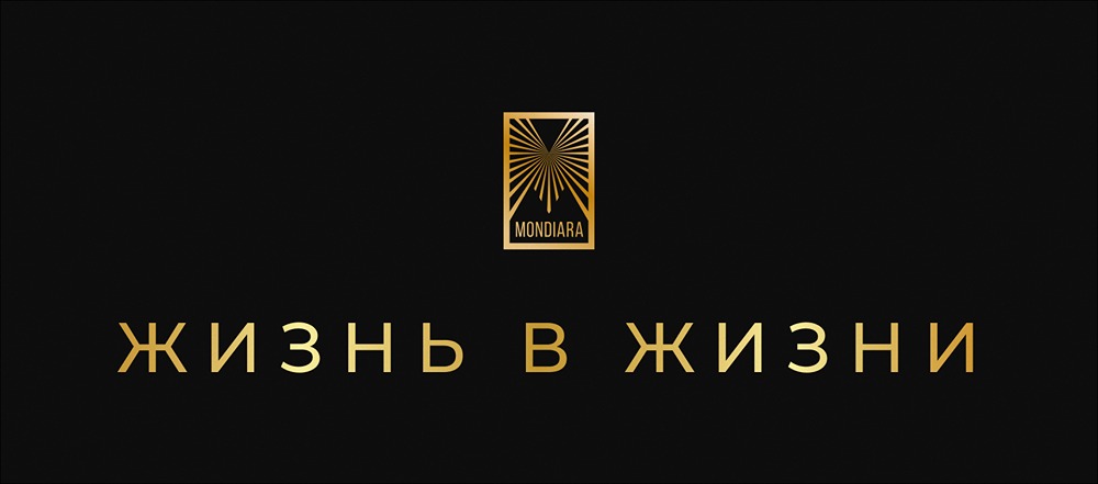 От консультанта до стартапера: история пяти жизней в одной