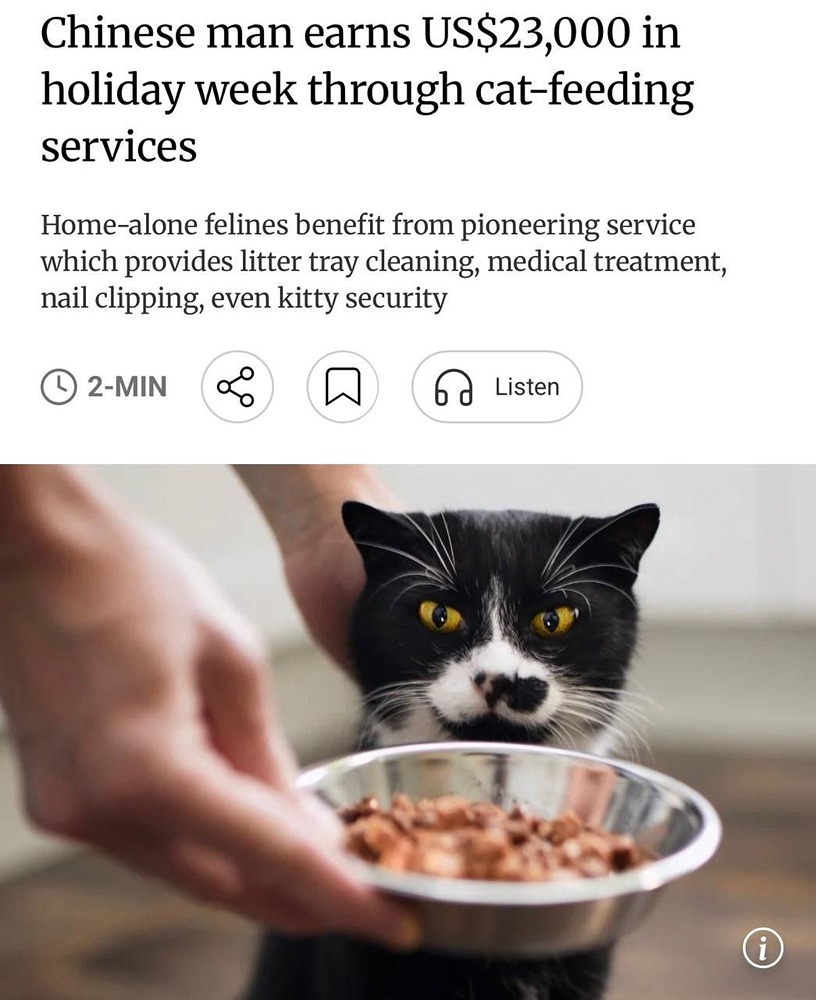 Как заработать 2 млн рублей за праздники: история успешного котоняни из Китая