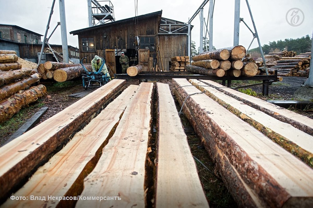 Как проверка Счетной палаты ударит по лесной отрасли России?