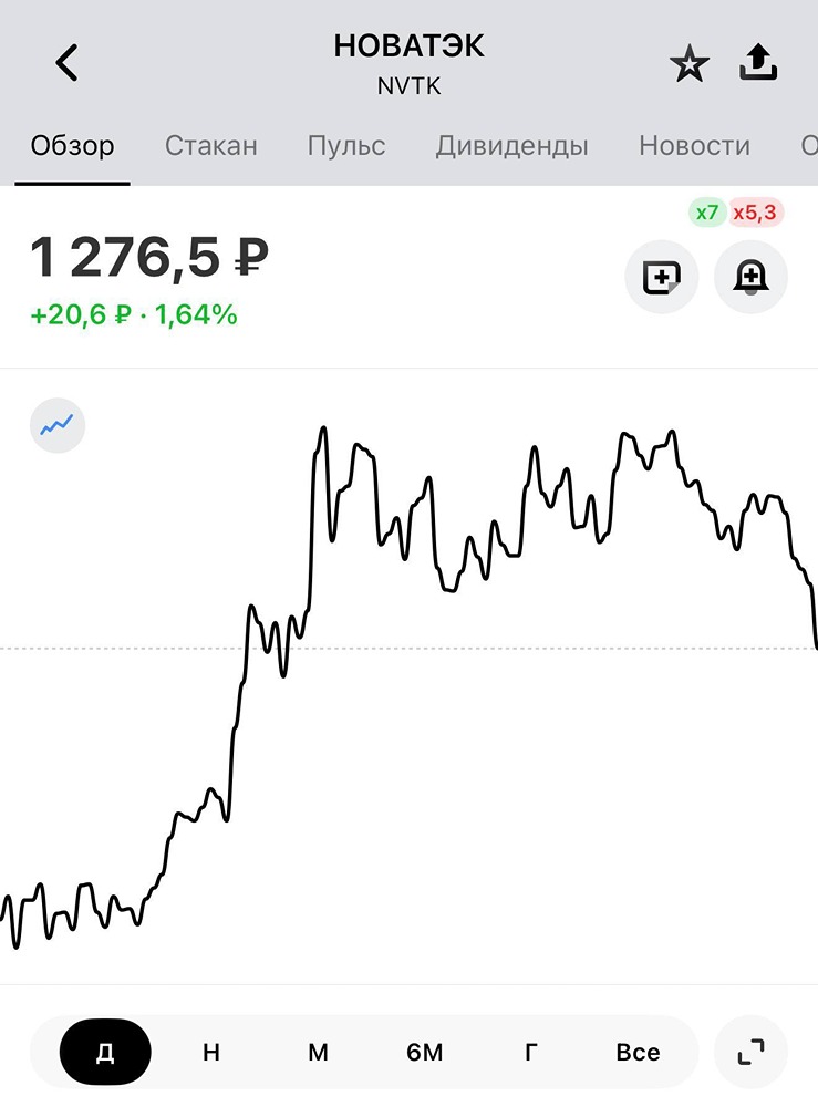Новатэк: почему временный рост акций не означает фундаментальную переоценку?