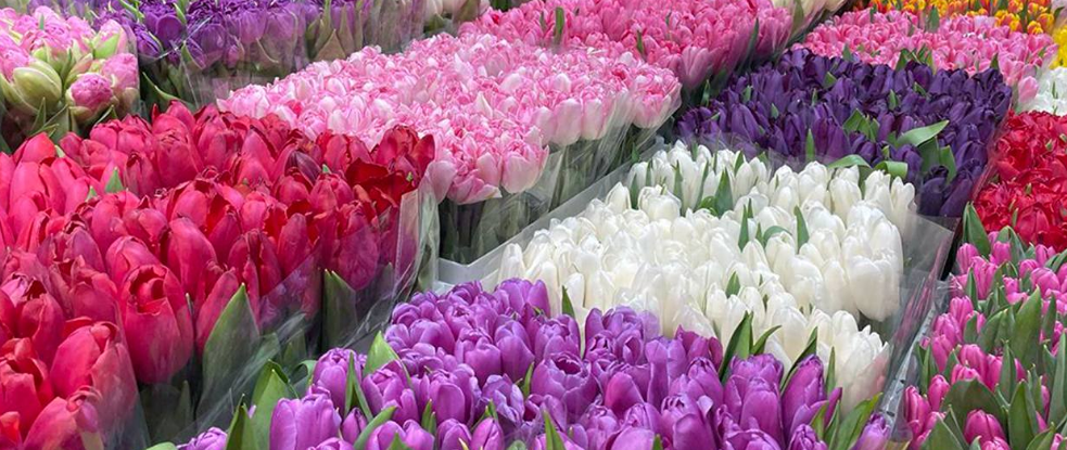 Сколько стоят цветы к 8 Марта: цены на розы, тюльпаны и мимозу на главном цветочном рынке Москвы