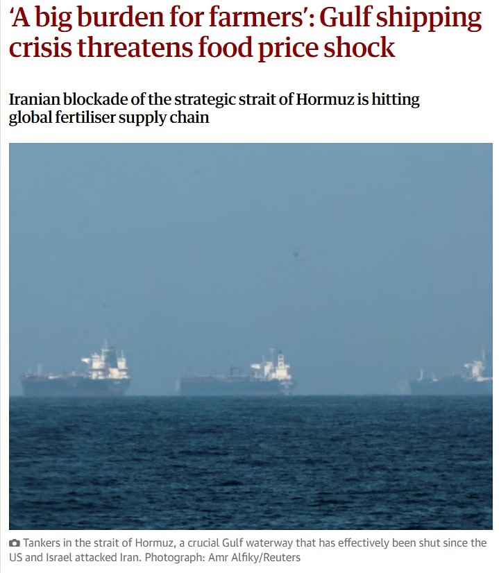 Кризис судоходства в Персидском заливе грозит скачком цен на продовольствие