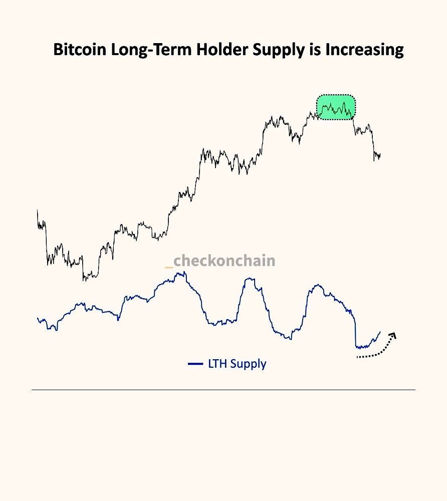 Предложение долгосрочных держателей BTC растет