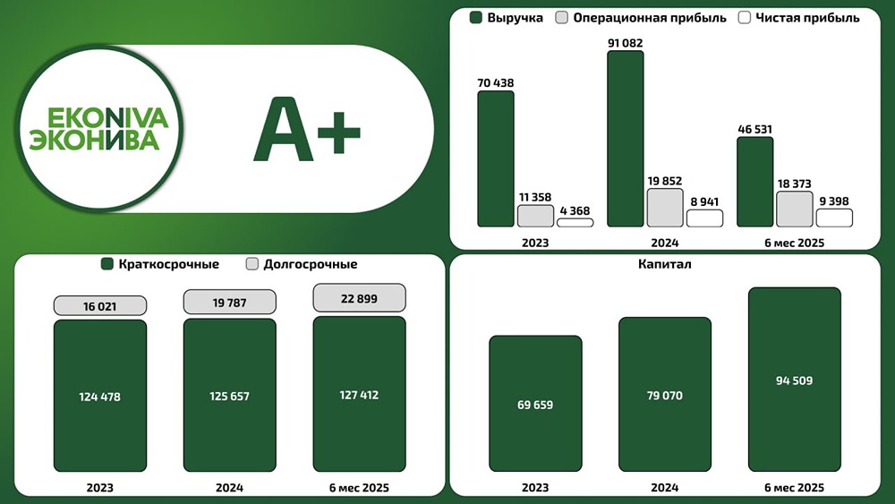 ЭкоНива: анализ финансовой отчетности за 6 месяцев 2025 года