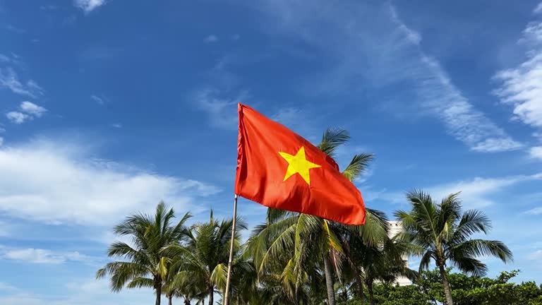 В какую валютную зону войдет Вьетнам в ближайшем будущем?