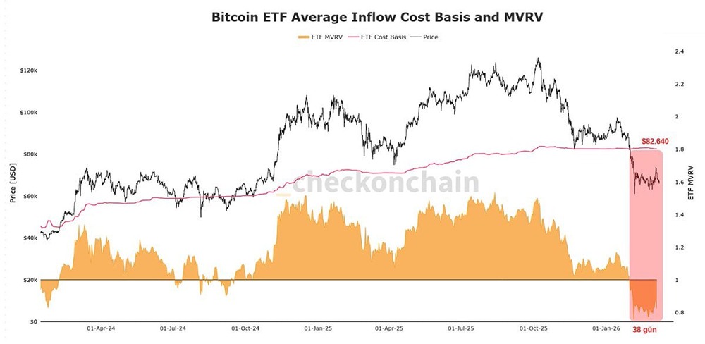 Инвесторы в ETF биткоина продолжают нести самые длительные убытки