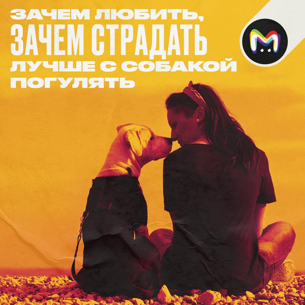 Учёные доказали: собаки — лучшие эксперты в выборе партнёров