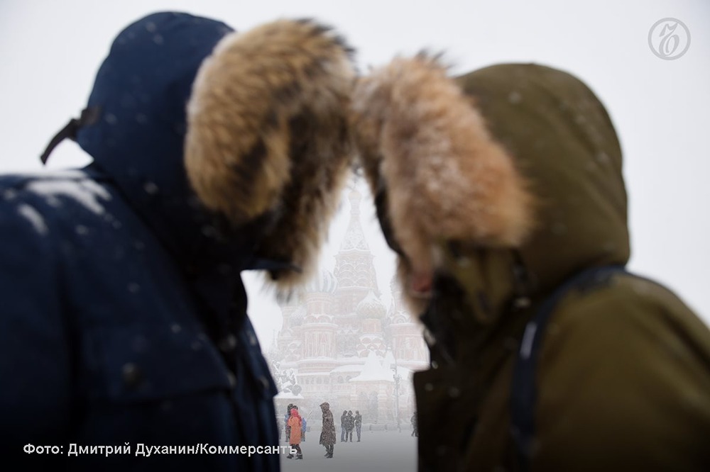 Тренды зимнего гардероба 2026: что покупают россияне в условиях аномальных холодов