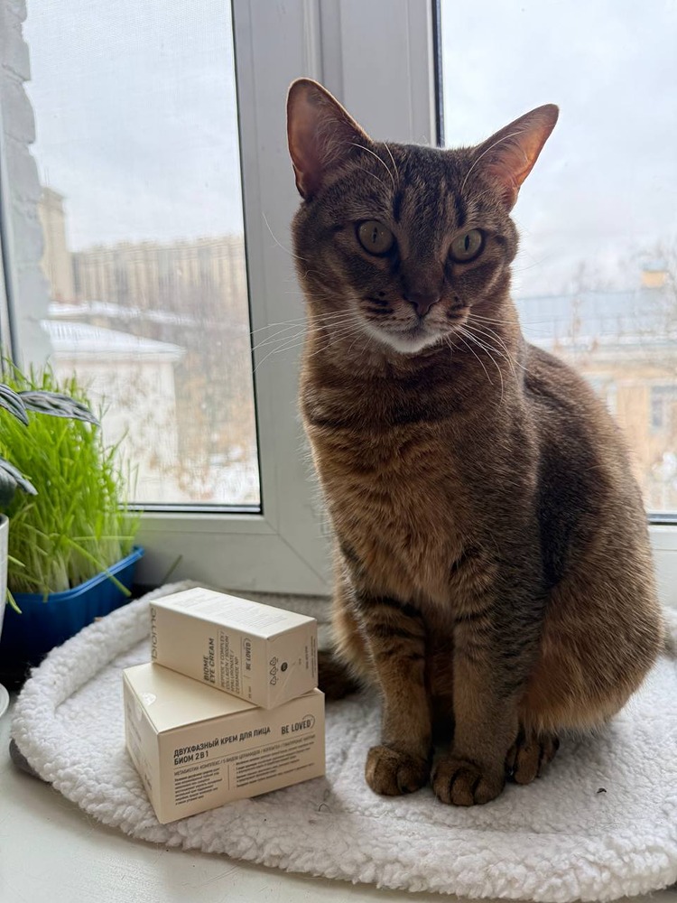 Роскошь персонализации: почему BIOME меняет правила антивозрастного ухода