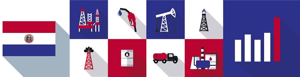 Национальное управление электроэнергетики Парагвая подписало меморандум о взаимопонимании для изучения майнинга биткоинов