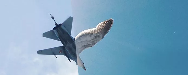 От Ливии до Ирана: почему конфликт на Ближнем Востоке может стать глобальным